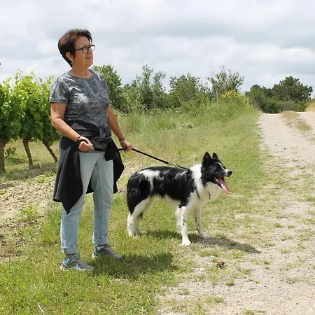 Homestay Dans Un Ecrin De Nature
