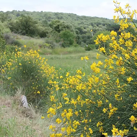 Dans Un Ecrin De Nature Homestay Montclar (Aude)
