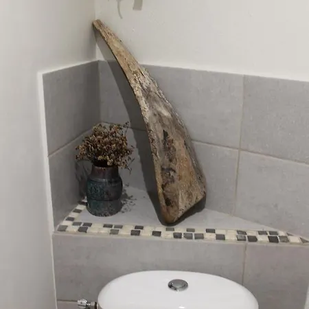 Dans Un écrin De Nature Séjour chez l'habitant Montclar (Aude)
