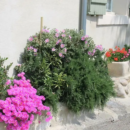 Séjour chez l'habitant Dans Un écrin De Nature